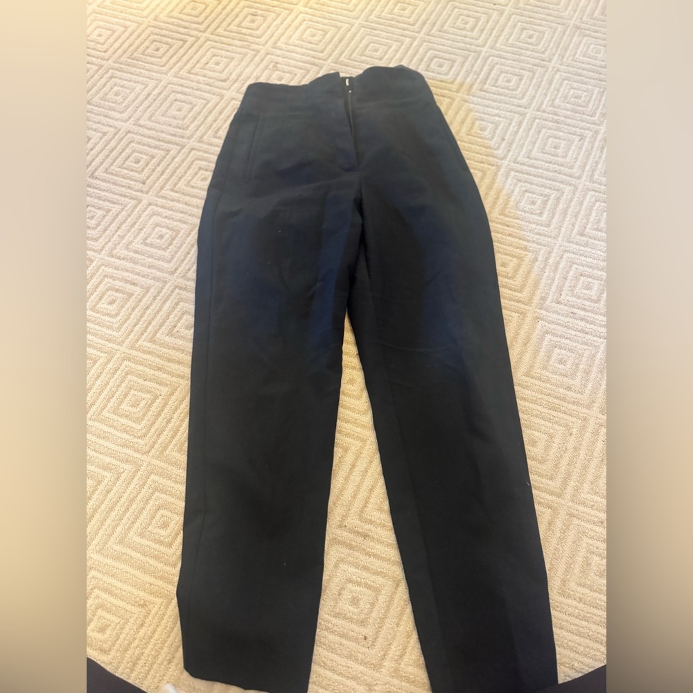 Zara Sleek Black Pants